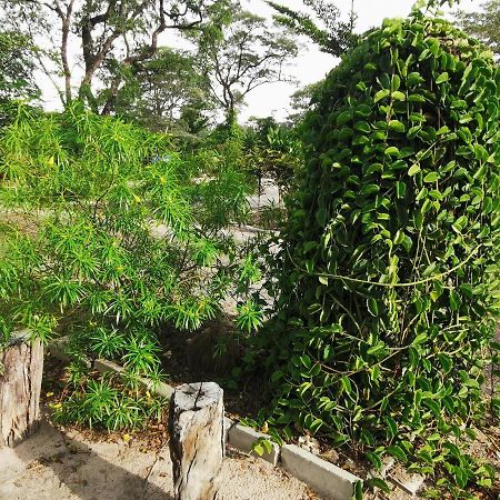 Happy Forest B&B Katima Mulilo Bagian luar foto