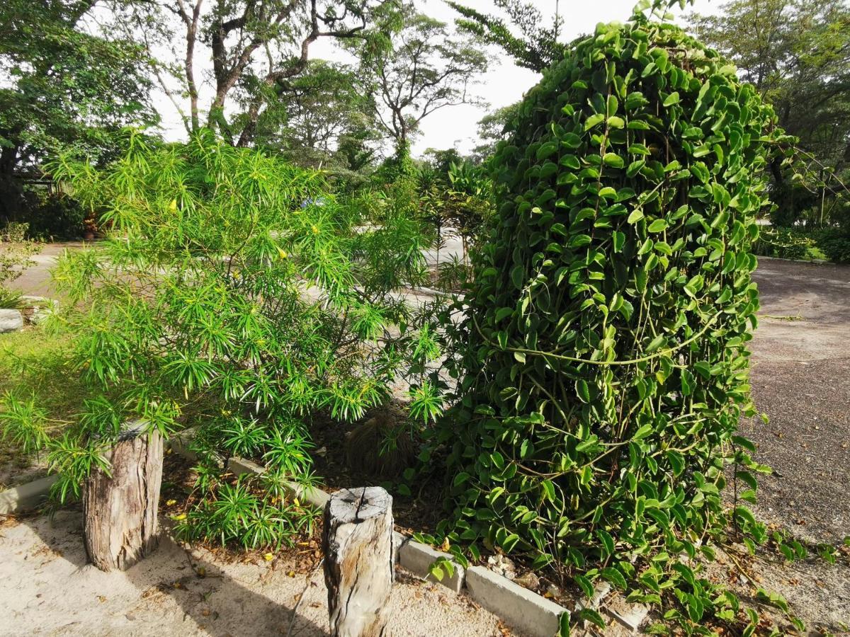 Happy Forest B&B Katima Mulilo Bagian luar foto