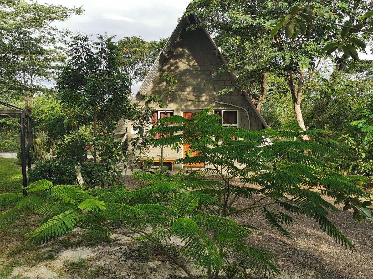 Happy Forest B&B Katima Mulilo Bagian luar foto