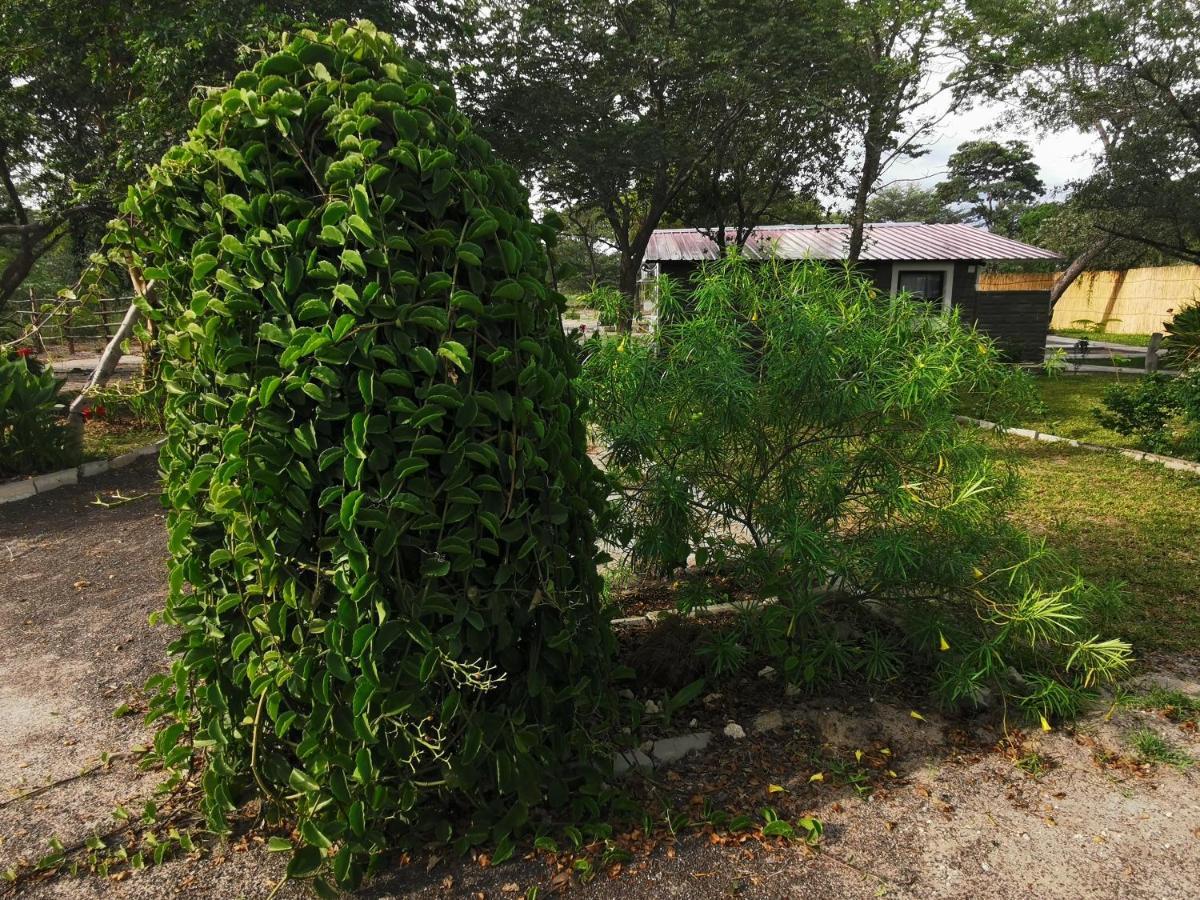 Happy Forest B&B Katima Mulilo Bagian luar foto