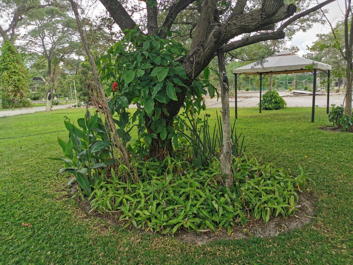 Happy Forest B&B Katima Mulilo Bagian luar foto