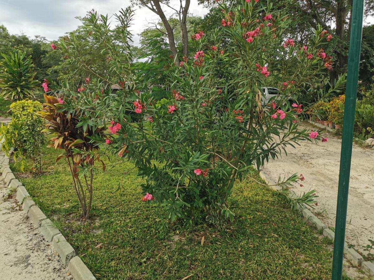 Happy Forest B&B Katima Mulilo Bagian luar foto