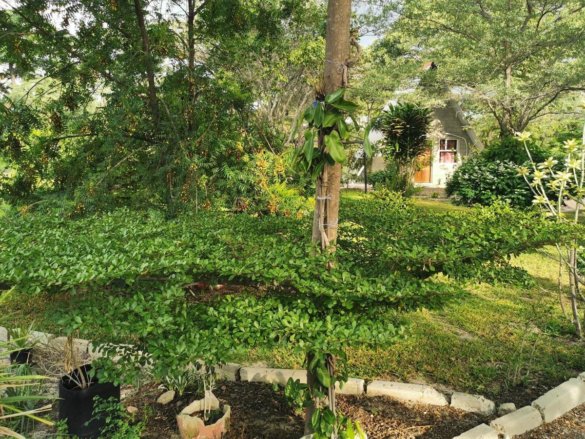 Happy Forest B&B Katima Mulilo Bagian luar foto