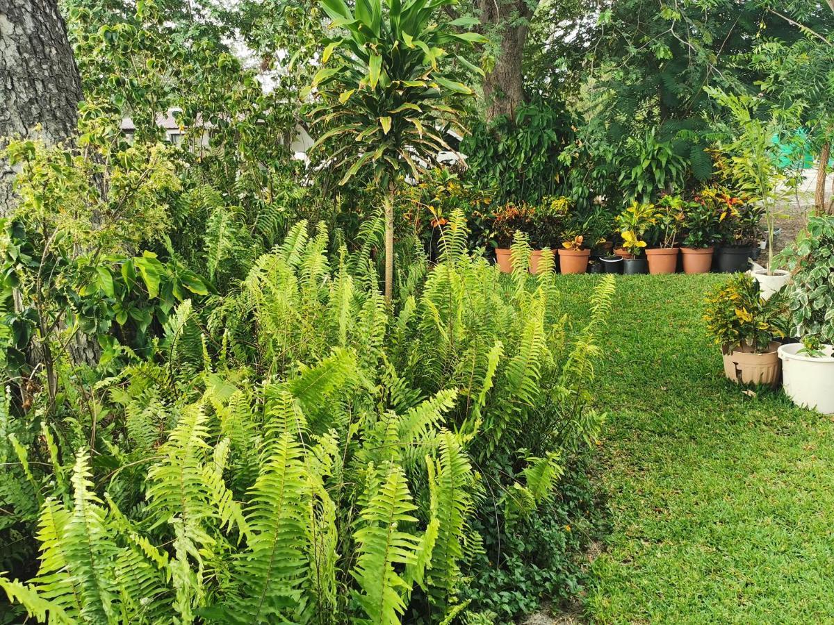 Happy Forest B&B Katima Mulilo Bagian luar foto