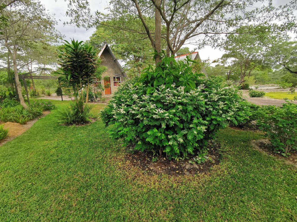Happy Forest B&B Katima Mulilo Bagian luar foto
