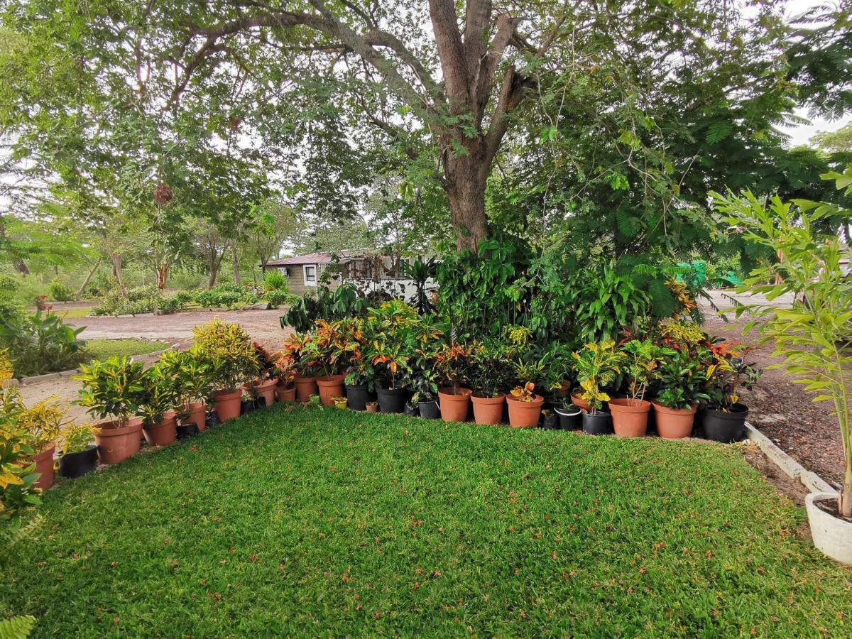 Happy Forest B&B Katima Mulilo Bagian luar foto