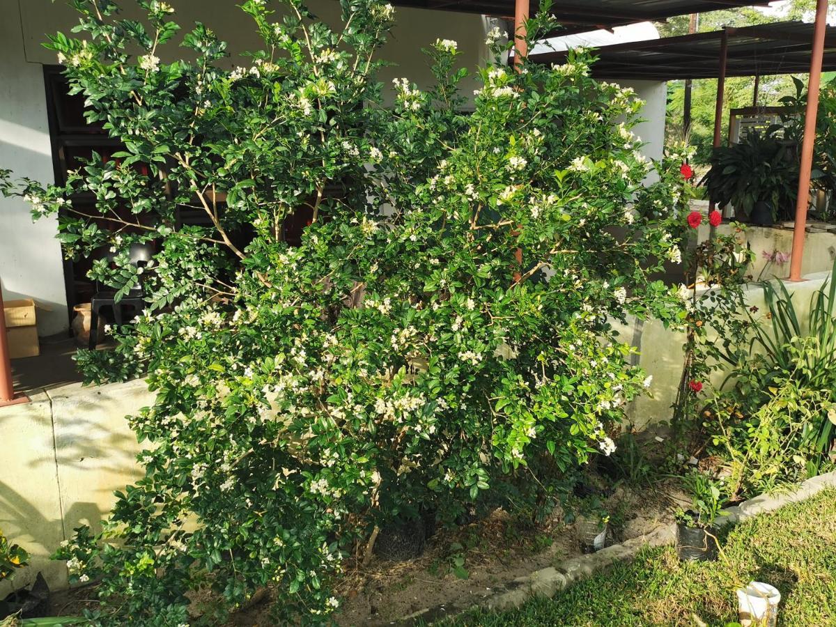 Happy Forest B&B Katima Mulilo Bagian luar foto