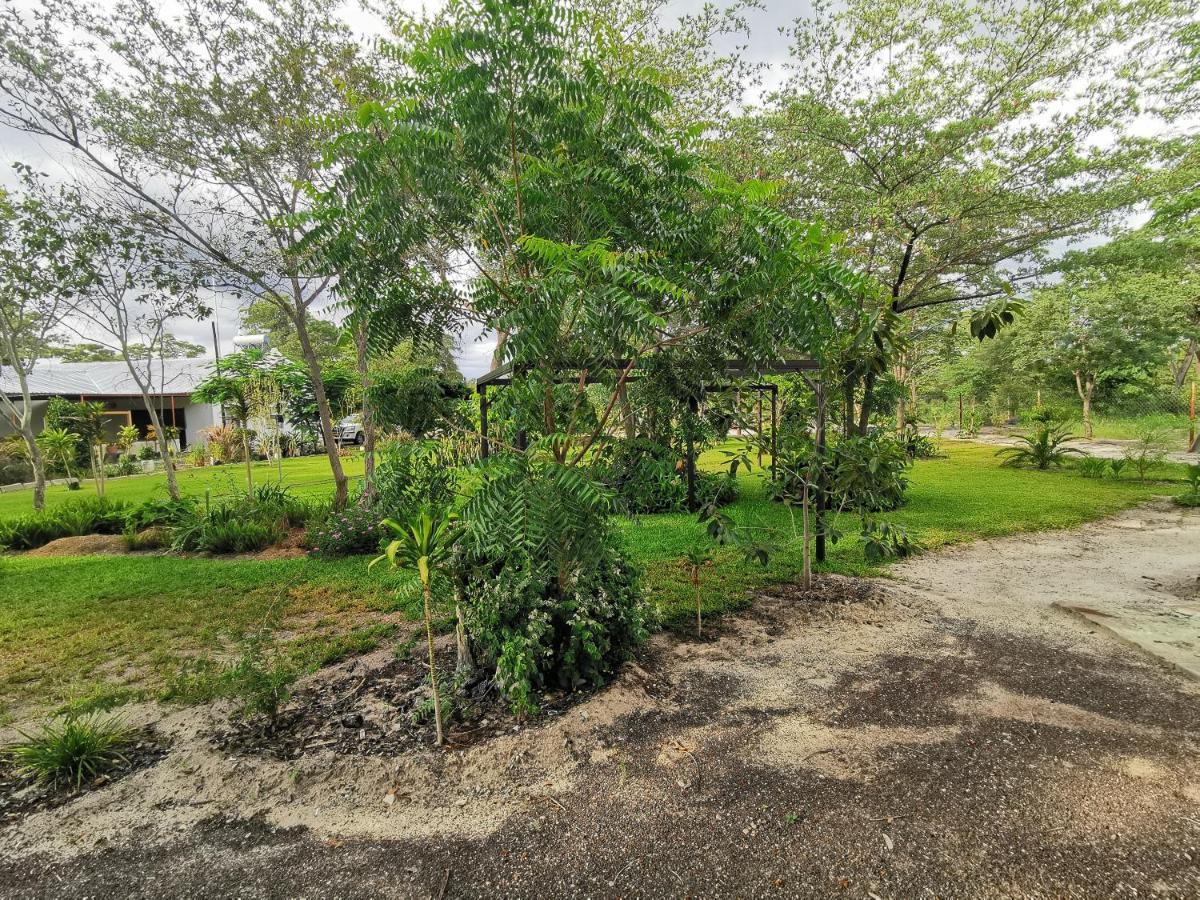 Happy Forest B&B Katima Mulilo Bagian luar foto