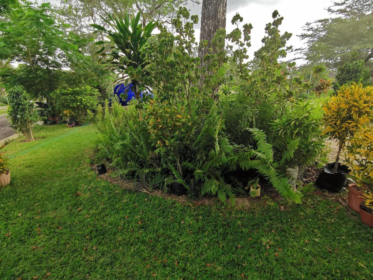 Happy Forest B&B Katima Mulilo Bagian luar foto