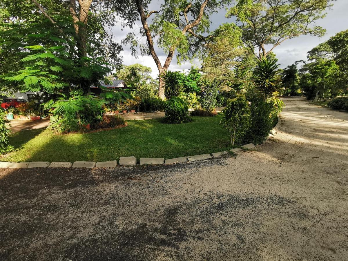 Happy Forest B&B Katima Mulilo Bagian luar foto