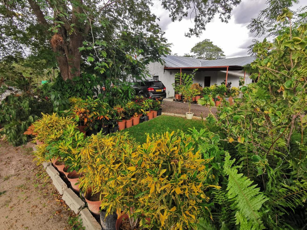 Happy Forest B&B Katima Mulilo Bagian luar foto