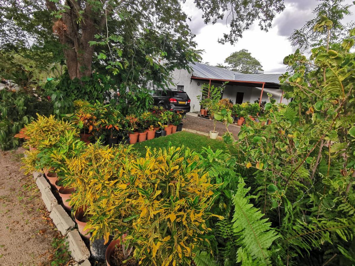 Happy Forest B&B Katima Mulilo Bagian luar foto